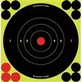 BIRCHWOOD CASEY 6 IN TARGETS 